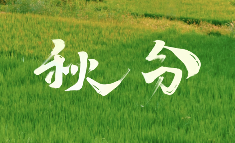 今日秋分｜平分秋色 共享秋实