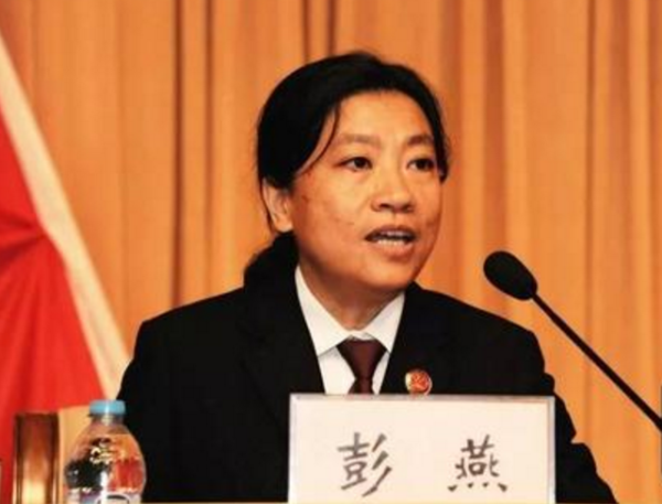 “十九大代表”、“领头雁”：彭燕