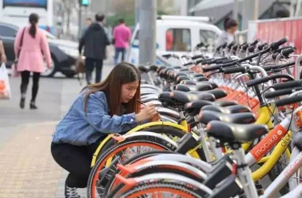 网红“补牌侠”：杨楠